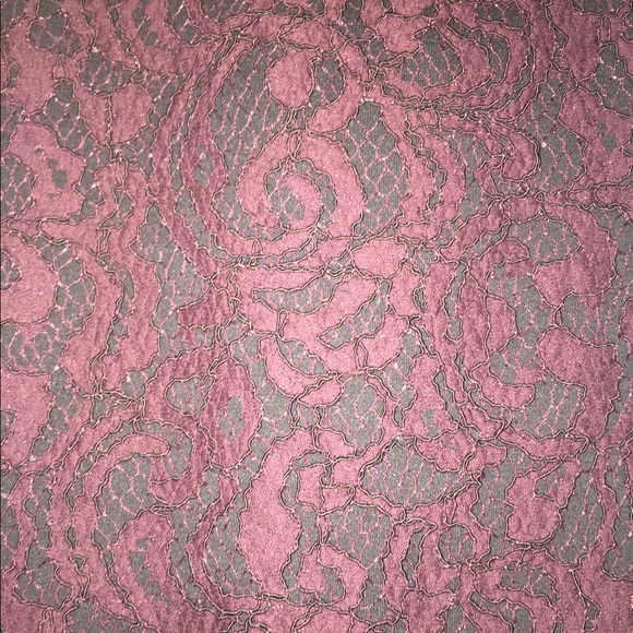 ANN TAYLOR LOFT PENCIL SKIRT w/ LACE OVERLAY- EUC - Picture 3 of 8